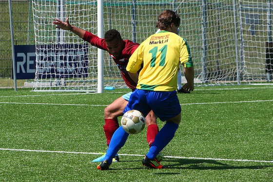 Zandvoort1-Overbos1_1