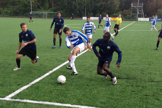 Blauw Wit - ZSGO/WMS