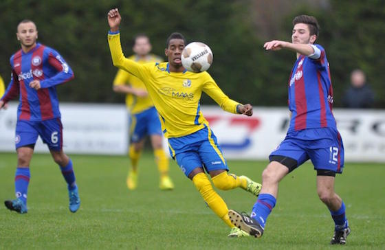 Legmeervogels - Abcoude