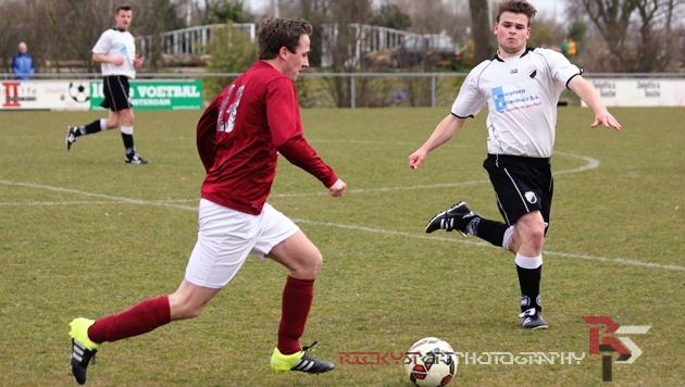 HAV-AMVJ-Mark-article-6