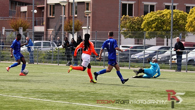 HAV-Article-CT0-BV-4