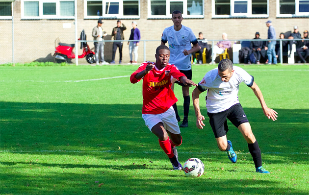 zsgowms-pancratius-wormhoudt