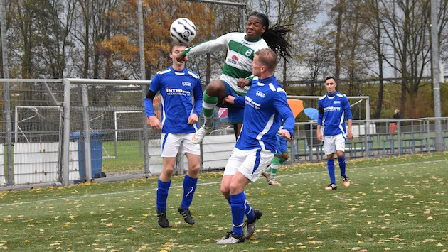 20161119-kadoelen-merinos-foto-mitchel-beckman-1