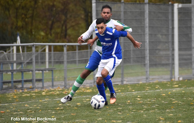 20161119-kadoelen-merinos-foto-mitchel-beckman-4